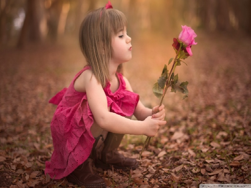 试管婴儿眼睛近视试管 冷冻 胚胎 流程锦州附属医院试管