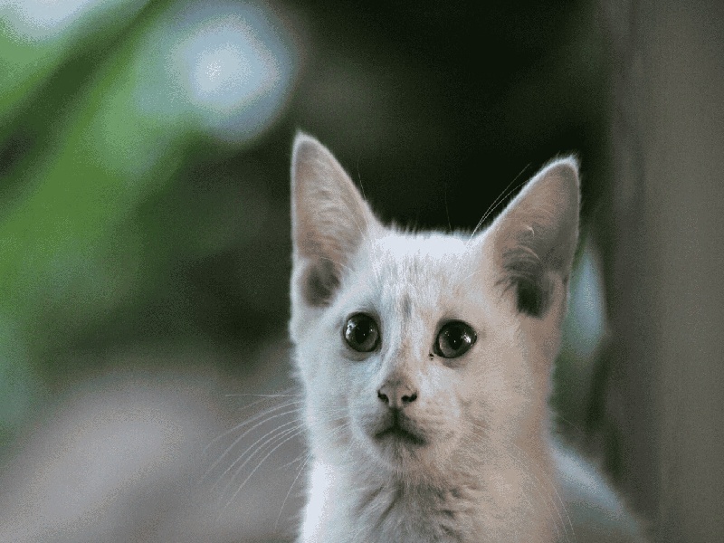 南京惜缘试管代生机构:怀二胎孕吐反应特大,和孕妇自身以及胎儿都有关